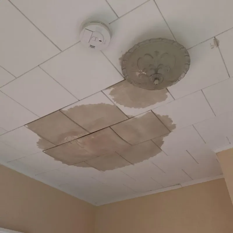 Ceiling Water Damage Repair in Phillipsburg, KS