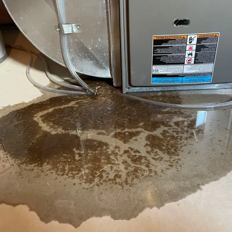 Pipe Burst and Leak Restoration in Phillipsburg, KS