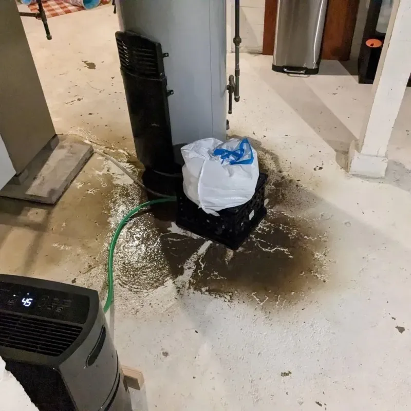 Sewage Backup Cleanup Service in Phillipsburg, KS
